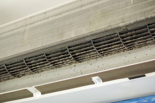 Best Professional Duct Cleaning Services  in Lincoln University, PA